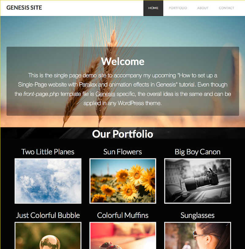 one page free genesis child theme best for freelancers