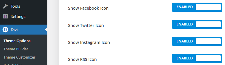 divi theme options social icons enable