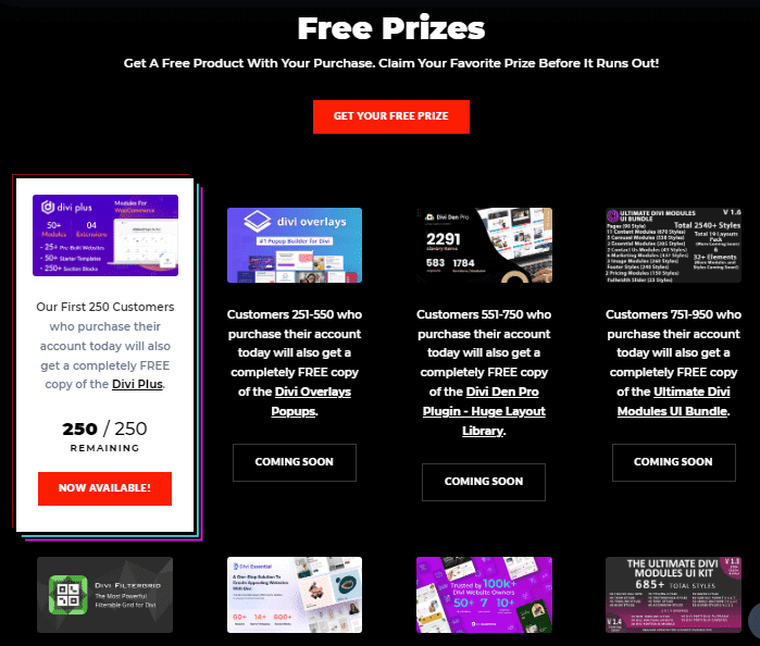divi black friday free gifts for customers